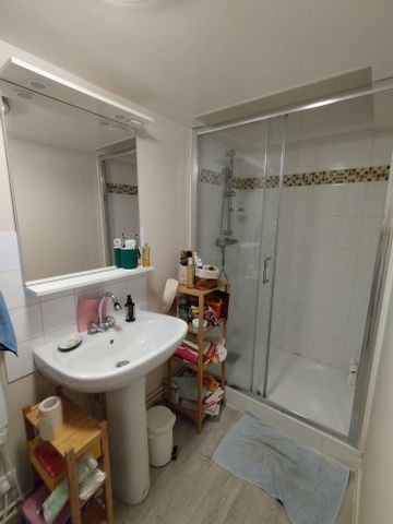 Location Appartement 1 pièce 21m² NANTES 44200 - Photo 2
