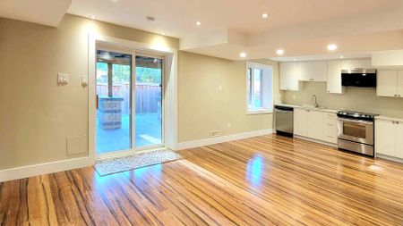 For Lease - 234 Roadhouse Boulevard Unit# BASEMENT, Newmarket, Ontario - Photo 3