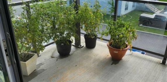 Magnifique 4 1/2 à Chambly pour avril - Photo 2