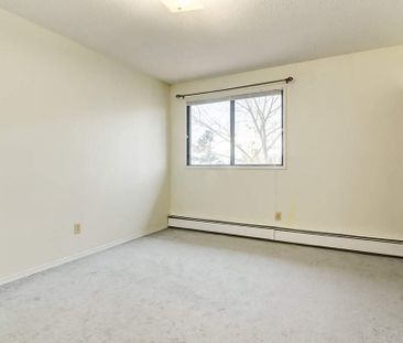 1 Bedroom - Photo 4