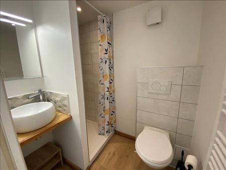 1 pièce - Meublé - 16,42 m² - RDC - Colocation non autorisée - Photo 5