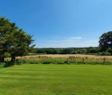 4 bedroom detached bungalow to rent - Photo 2