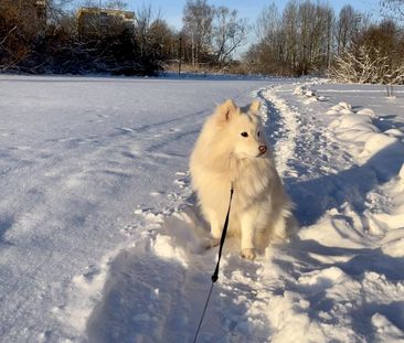 Ateljévägen, Stockholm - Foto 4