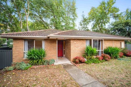 2/204 Larter Street, Golden Point - Photo 3