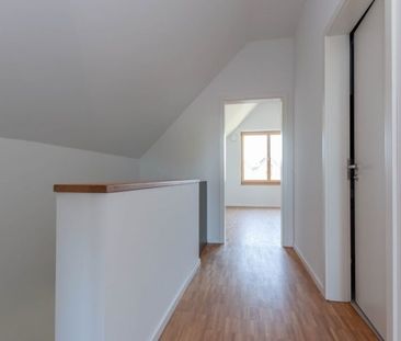Attraktive Neubauwohnungen in Emlichheim - Foto 1