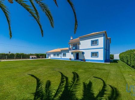 Aldeia Nova da Aroeira, Setúbal Municipality - Photo 5