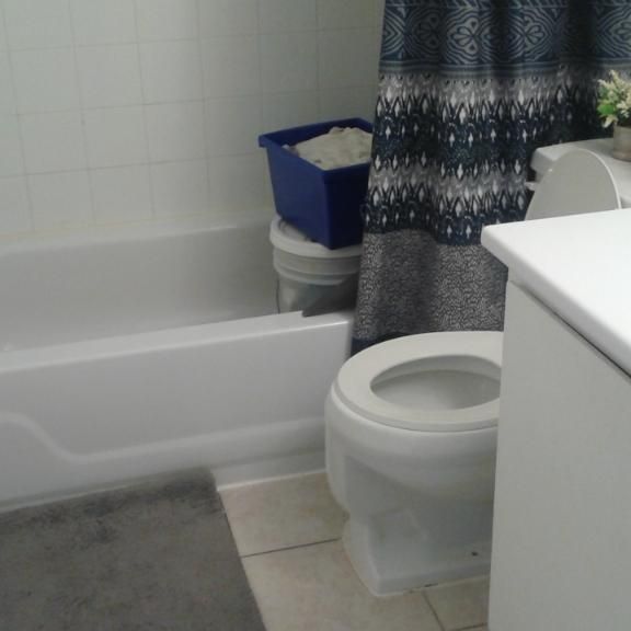 Alouer 3 1/2 Anjou - Photo 1