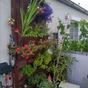 Ruhige Dachgeschossmaisonette mit geräumiger Terrasse - Photo 3