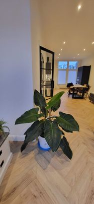 Appartement te huur: Anton de Haenstraat 106 2563 BV Den Haag - Photo 1