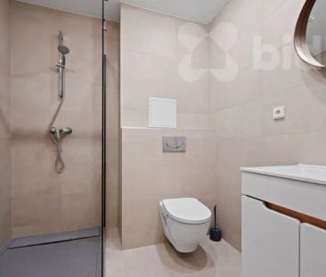 Pronájem bytu 1+kk (38 m²) Podolí - Fotografie 4