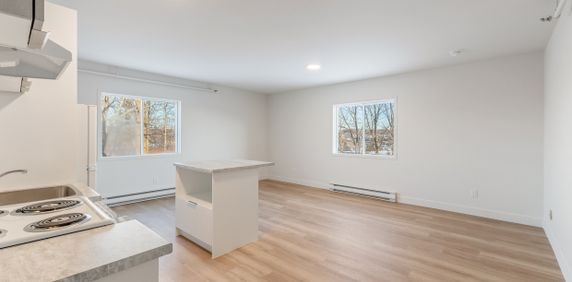 Incroyable Appartement 3 1/2 Sherbrooke - Photo 2