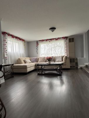 For Lease - 169 East Balfour Street, Sault Ste Marie, Ontario - Photo 1