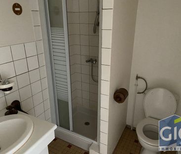 Location Appartement 1 pièce 25m² - Photo 4