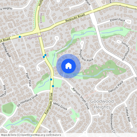 7A Palmetto Place, Goodwood Heights, Manukau City