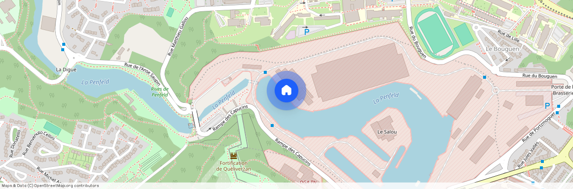 BREST 29200