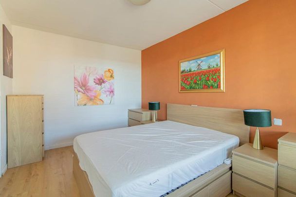 IJburglaan 851, Ed Pelsterparkbuurt, 1087EN, Amsterdam - Foto 1