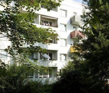 Gemütliche Wohnung mit Balkon, Küche und Bad mit Fenster! - Photo 1