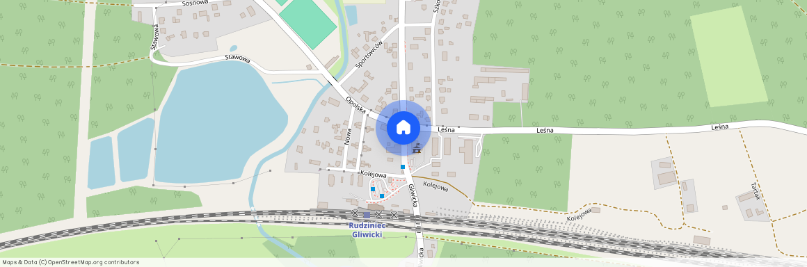 Rudziniec, Rudziniec, gliwicki, śląskie