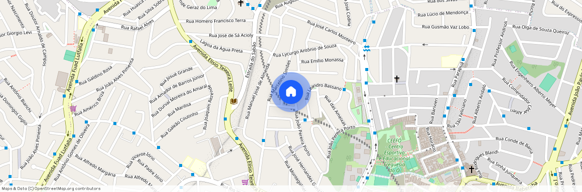Rua João Pereira Porto, 685 - Av. Petrônio Portela - Vila Cruz das Almas, São Paulo, São Paulo, 02804120