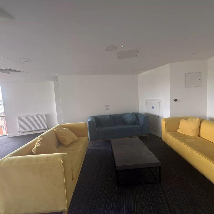 Large Premium Studio - Photo 1
