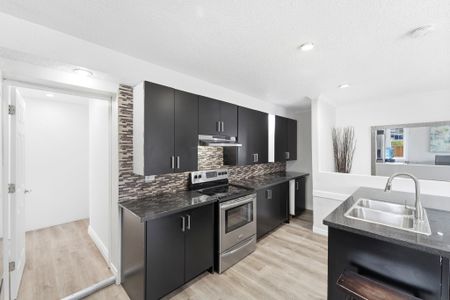 For Lease - 56 Charing Cross Street Unit# MAIN & BSMT, Brantford, Ontario - Photo 3