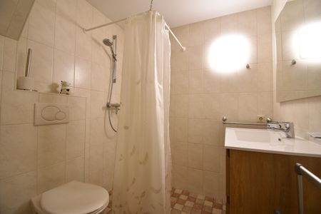 Overleek 25A-De Koeienstal - Photo 4