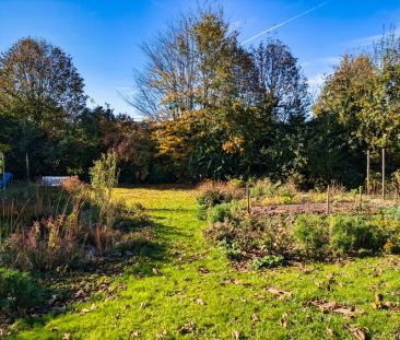 Freistehendes Einfamilienhaus mit Sonnengarten in Oberpleis! 132qm,... - Foto 6