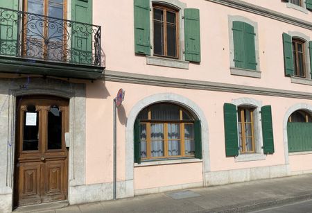 Beautiful furnished 4-room apartment in Carouge (Geneva) - Foto 3