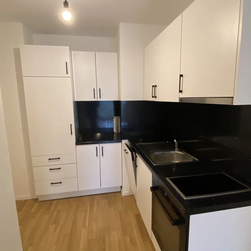 Sonnige Wohnung mit Sonnenbalkon, inkl. Küche- Nähe Badner Bahn und Bhf. Mödling - Foto 1