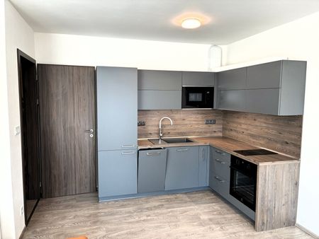 Pronájem bytu 1+kk a garsoniéry 36 m², Na Perštýně 678, Liberec - Fotografie 3