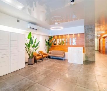 Nouveauté sur le marché Appartement à louer - Montréal (Ville-Marie... - Photo 2