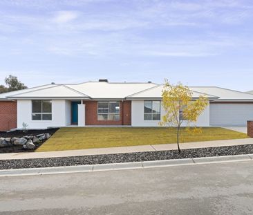 FAMILY HOME IN POPULAR THURGOONA - Photo 2