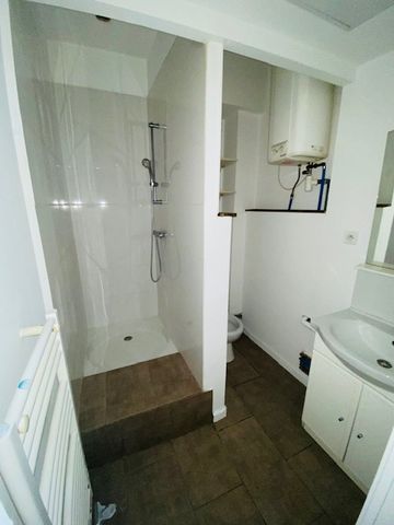 Location Appartement 1 pièce 20m² DIJON 21000 - Photo 5