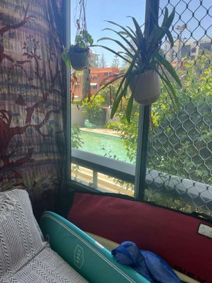 Broadbeach - Photo 1