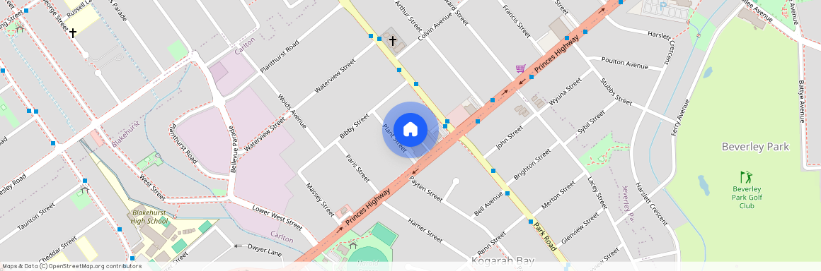 20A Plant Street, NSW 2218, Carlton