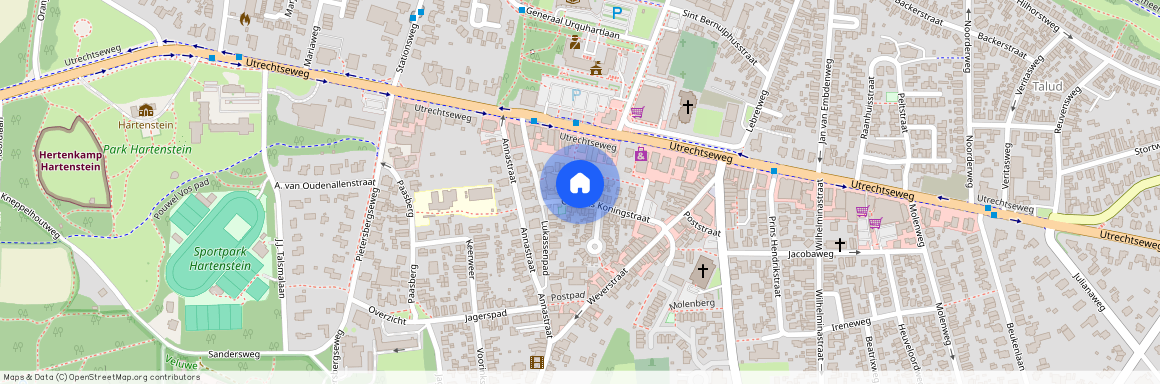 Cornelis Koningstraat 29, Bato's Wijk, 6862CK, Oosterbeek