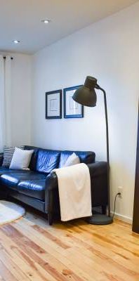 Furnished 2 Level Trinity Bellwoods - Ossington Strip - Photo 1