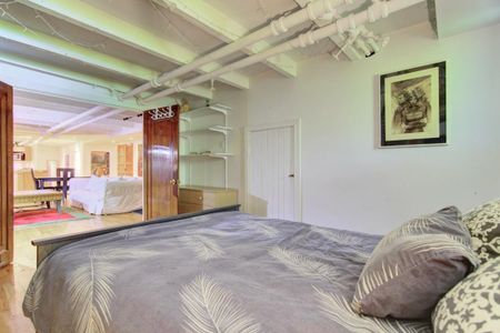 Appartement à louer - Montréal (Le Plateau-Mont-Royal) (Le Plateau-Mont-Royal) - Photo 5