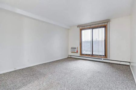 1 Bedroom - Photo 5