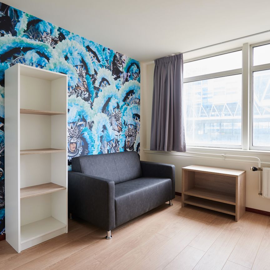 Te huur: gemeubileerde studio's voor studenten in Leiden - Foto 1