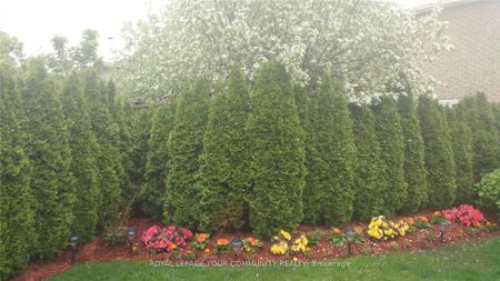 For Lease - 61 Nightstar Drive Unit# Main & 2nd floor, Richmond Hill, Ontario - Photo 2