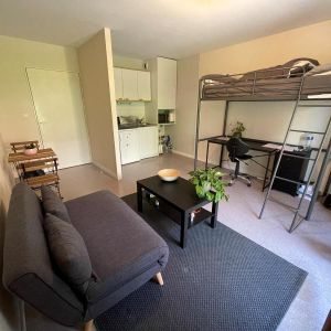 Location appartement 1 pièce 24.52 m2 à Tours - Photo 2