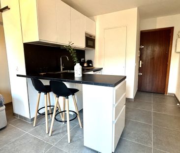 Location Appartement 1 pièce 21m² STE MAXIME 83120 - Photo 3