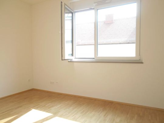 RANKENGASSE sonnige 3ZI mit 6m² S/O Balkon nahe AUGARTENBUCHT, Murpromenade - Foto 1