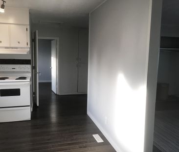 TWO BDRMS MAINFLOOR FOR RENT IN RADISSON HEIGHTS! - Photo 6
