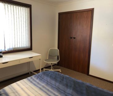 Australind - Photo 3