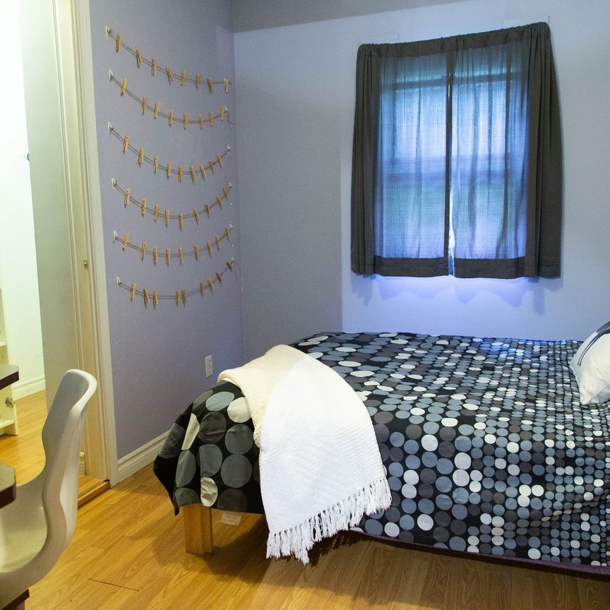 Condo for rent, Montréal (Le Plateau-Mont-Royal) - Photo 1