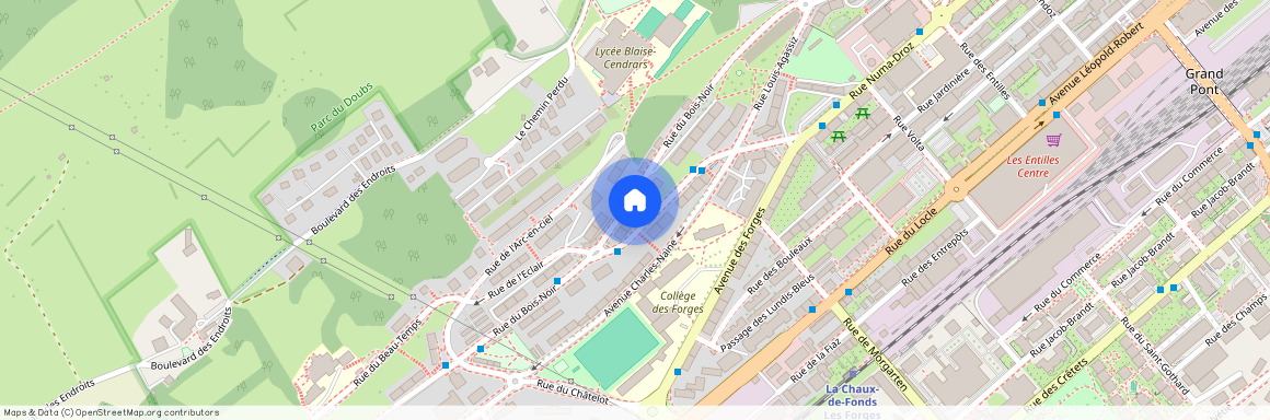 La Chaux-de-Fonds (Rue du Bois-Noir 31), Suisse