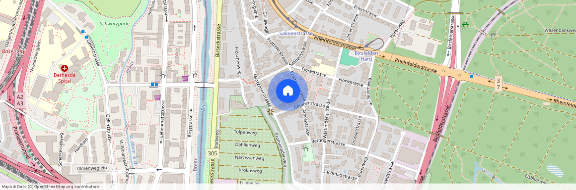 Prattelerstrasse 46, 4127 Birsfelden