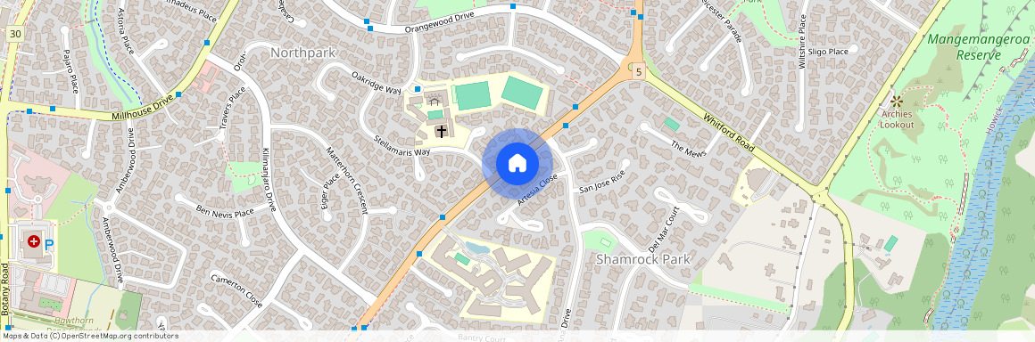 815 Chapel Road, Shamrock Park, Manukau City